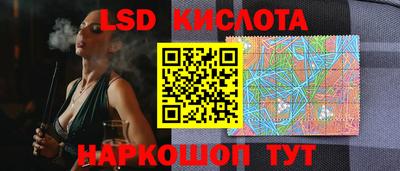 стафф Гатчина