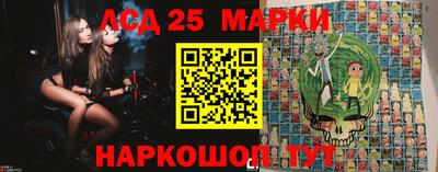 стафф Гатчина
