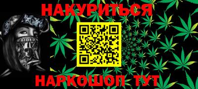 стафф Гатчина