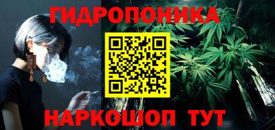 стафф Гатчина