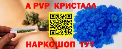 стафф Гатчина