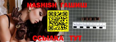 стафф Гатчина